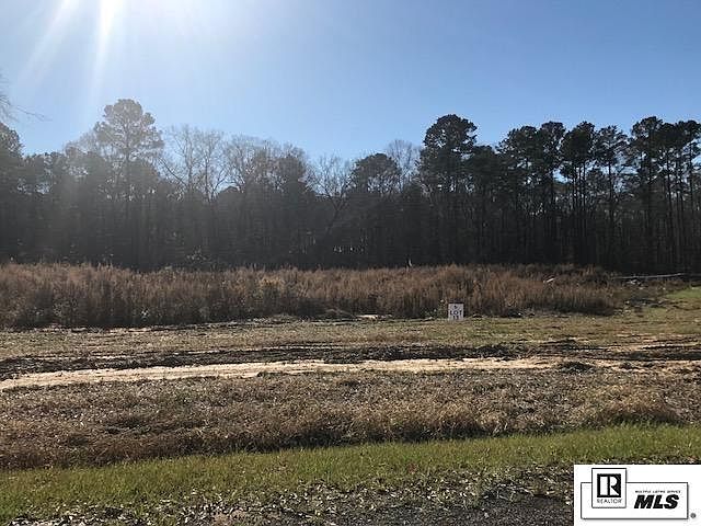 2nd image of 425 Pelican Grove Dr