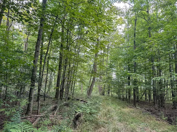 8190 Billing Dr #25, Almond, NY 14804