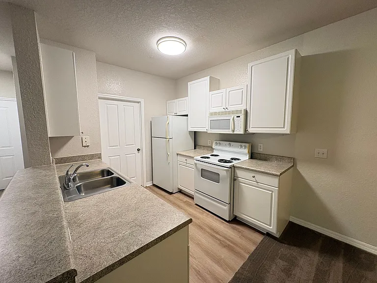 1004 Hemingway Cir — Photo 8
