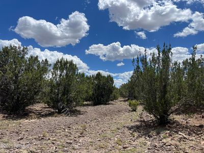 3472 Whitetail Loop, Williams, AZ, 86046