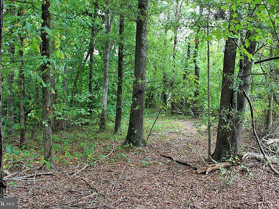 5th image of 28723 Three Notch Rd