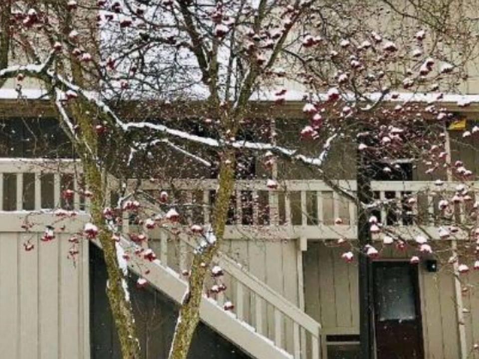 1st image of 6202 Tennis Ct APT C4