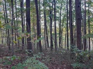 Trt 7 Bear Mountain Rd #7, Ranger, GA 30734