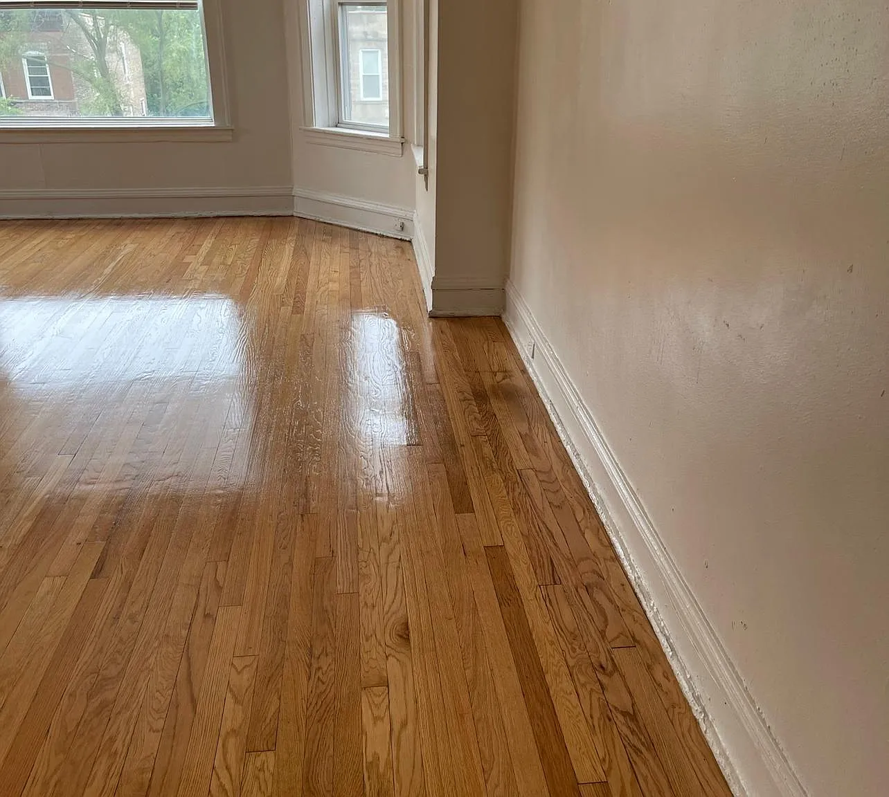 2 bed, 1000 sqft, $1,250 — Photo 4