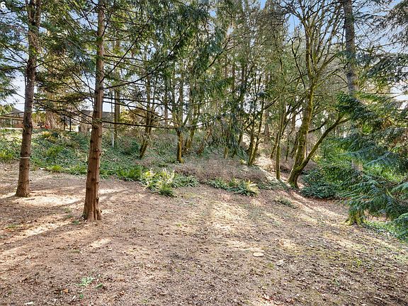 4th image of 2217 Prestwick Rd