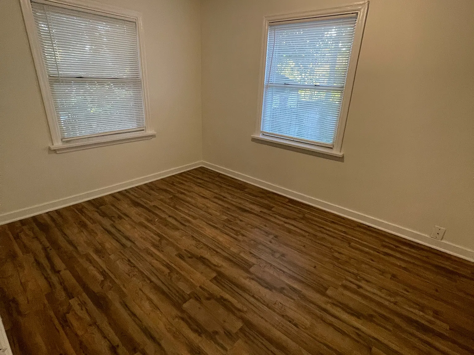 2141 Catalpa Drive - B — Photo 4