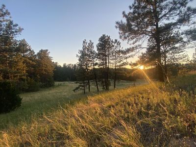 Nhn Cherry Creek Rd, Forsyth, MT, 59327