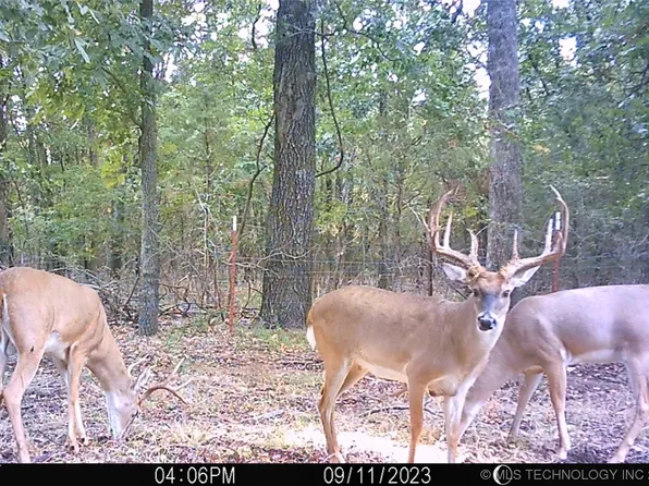 6 E County Rd #1110, Checotah, OK 74426