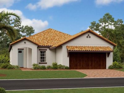 17251 Star Banks St, Wimauma, FL, 33598