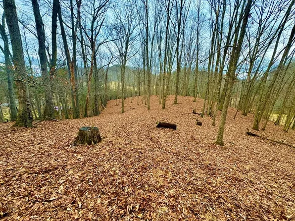 Tbd Walkers Creek Rd, Marion, VA 24354