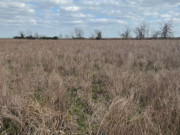 4th image of LOT 1 Beal Rd