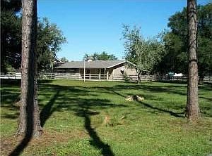 1st image of 557 N Samsula Dr