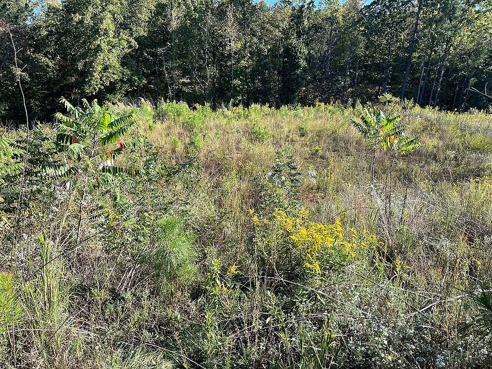 1st image of 0 Lee Road 2192