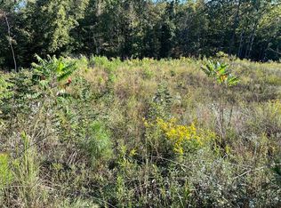 0 Lee Road 2192, Cusseta, AL