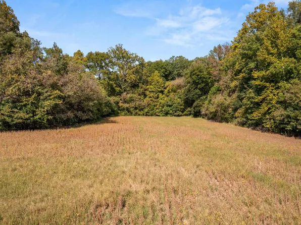 Moose Rd, Millington, TN 38053