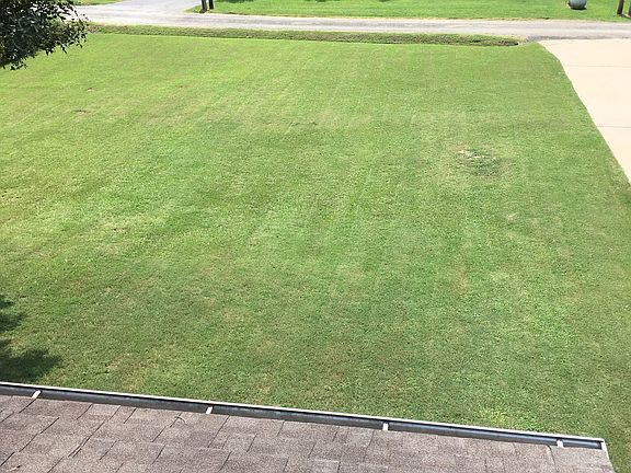 Aerial Summer Yard View