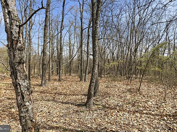 3rd image of 62 Crest Haven Rd #2