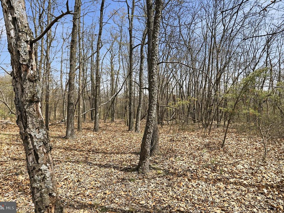 1st image of 62 Crest Haven Rd #2