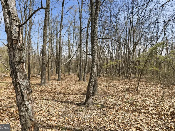 62 Crest Haven Rd #2, Romney, WV 26757