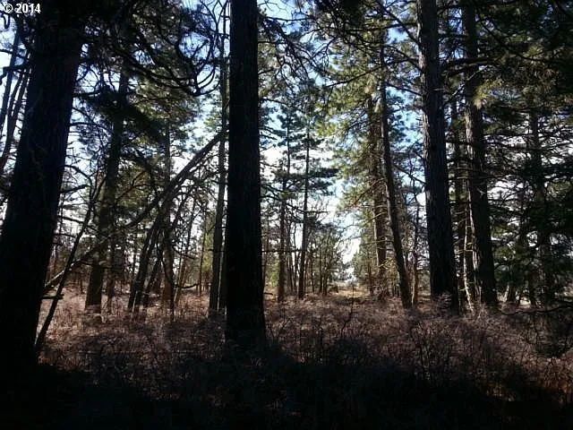 Bickleton Hwy photo 1