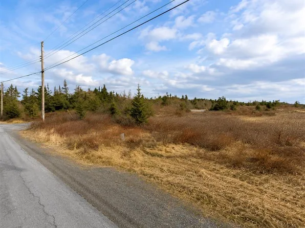 163 Ridge Road, Spaniard's Bay, NL A0A3X0