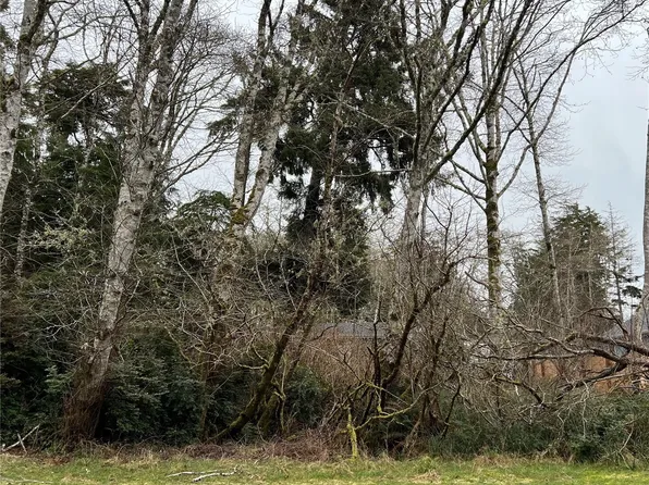 308 Lake View Loop NE, Ocean Shores, WA 98569