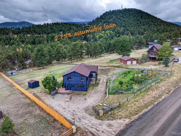 196 Conifer Drive, Bailey, CO 80421