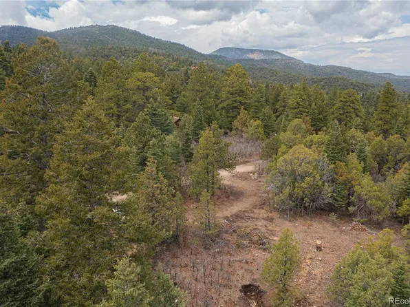 92 Forest Lane, Howard, CO 81233