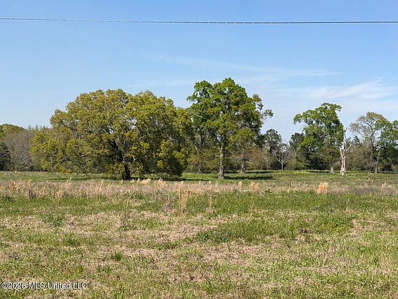 4th image of 11.74 Magnolia Rd