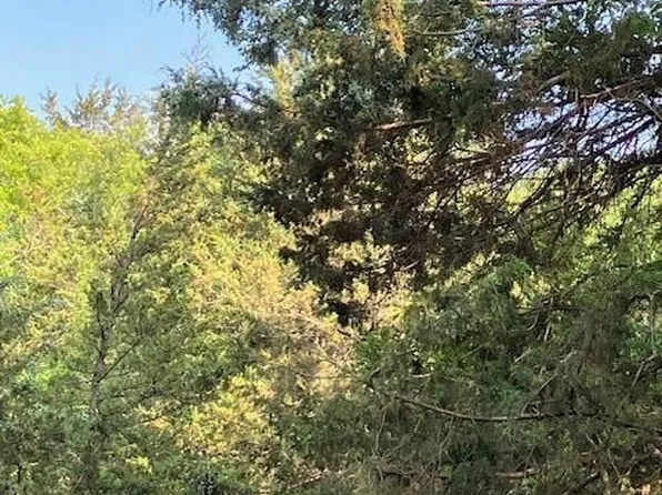 24 Simms Rd, Park Hills, MO 63601