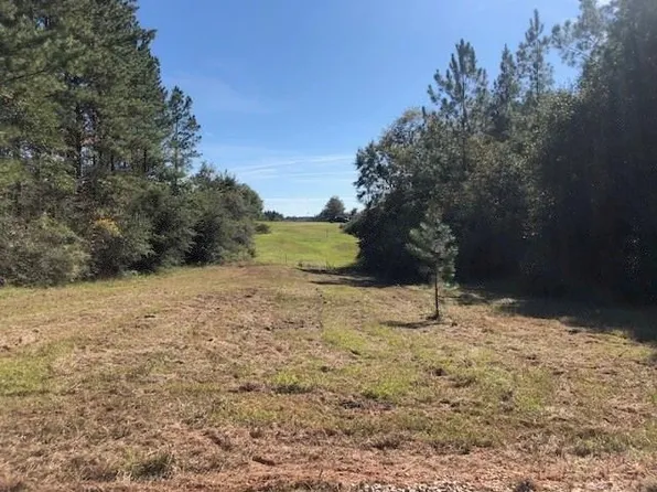 12185 Turnerville Farms Dr, Chunchula, AL 36521