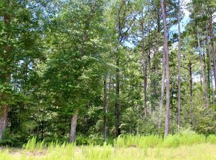 14-36-3 Larkspur Ln LOT 3, New Waverly, TX 77358