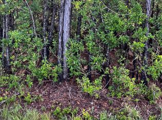 0 Mitchell Rd, Picayune, MS 39466