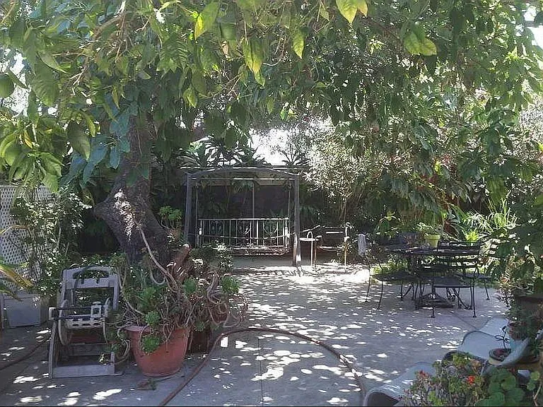 Daisy Ave — Photo 24