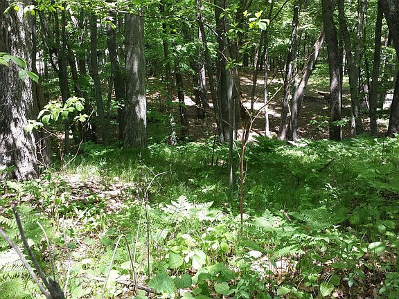 2nd image of 13541 Sixteen Mile Rd NE