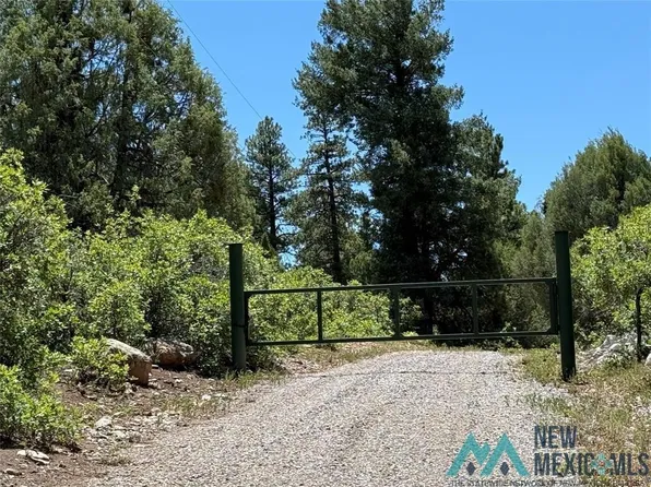 381 Buckman Rd, Chama, NM 87520