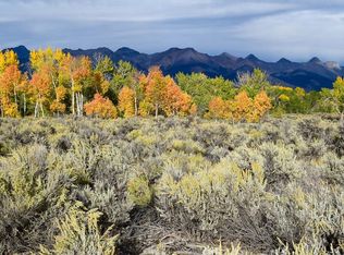 6190 Bartlett Point Rd, Mackay, ID 83251