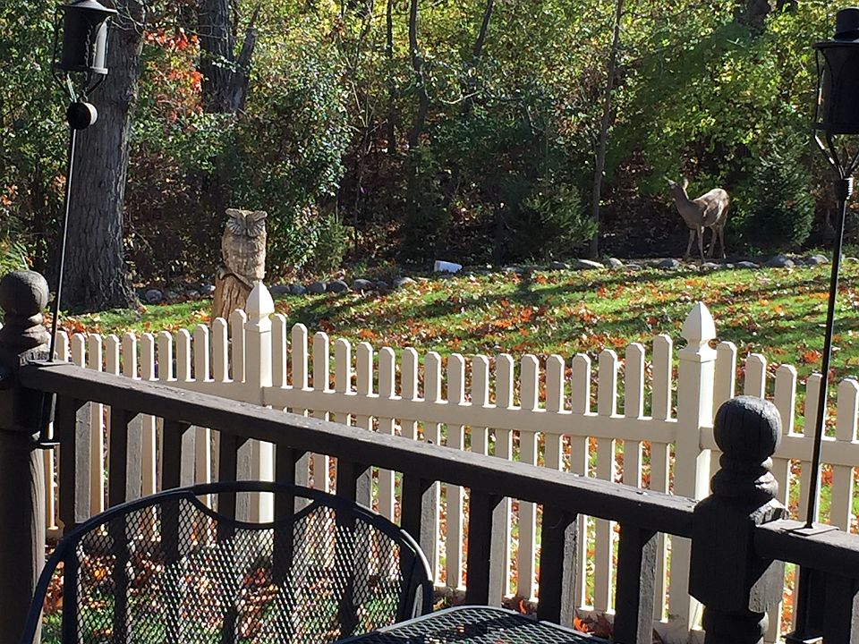 2nd image of 12609 Tall Oaks Dr
