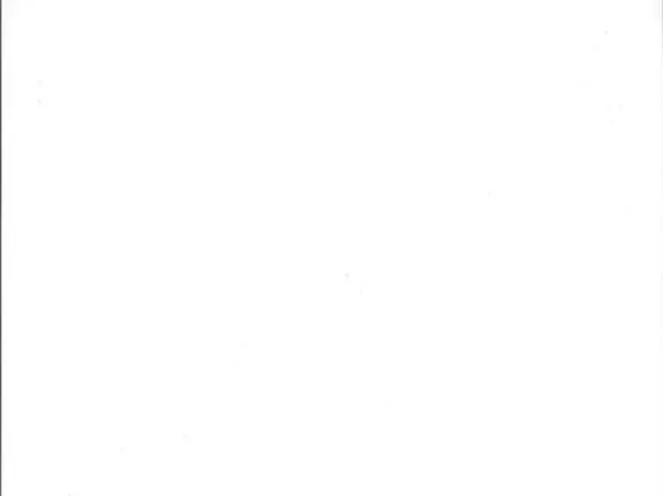 0 S Ridgewood Ave, Edgewater, FL 32141