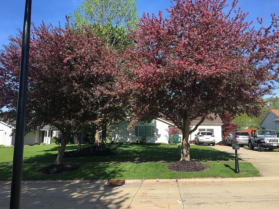 1st image of 322 W Parkway Dr