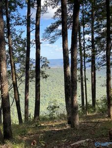 Keel Mountain Rd Tract 2, Gurley, AL, 35748