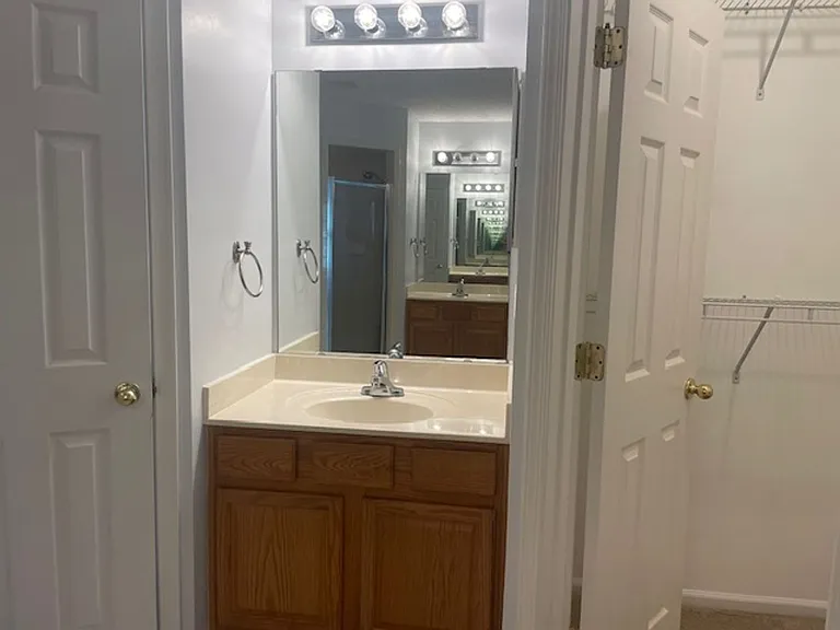 244 E Betony Branch Way — Photo 9