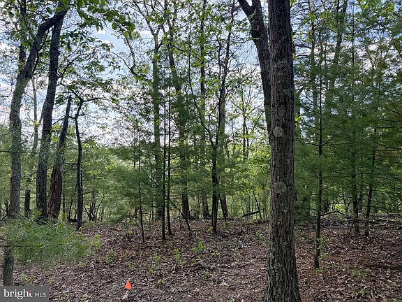 5th image of LOT 22 Echo Heights Dr
