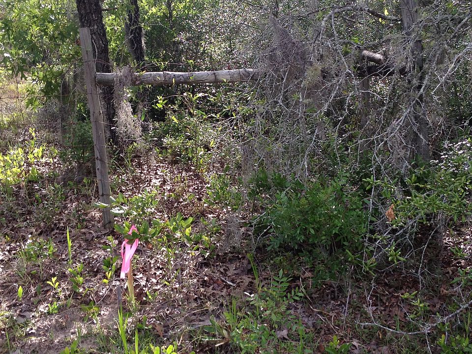 2nd image of 6310 Golden Oak Ln