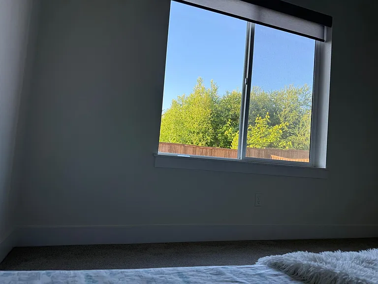 Bedroom - Basement