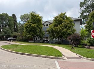 60 S 8th St UNIT 301, Carbondale, CO 81623