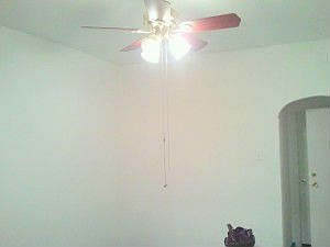 2nd image of 511 Rising Sun Ave