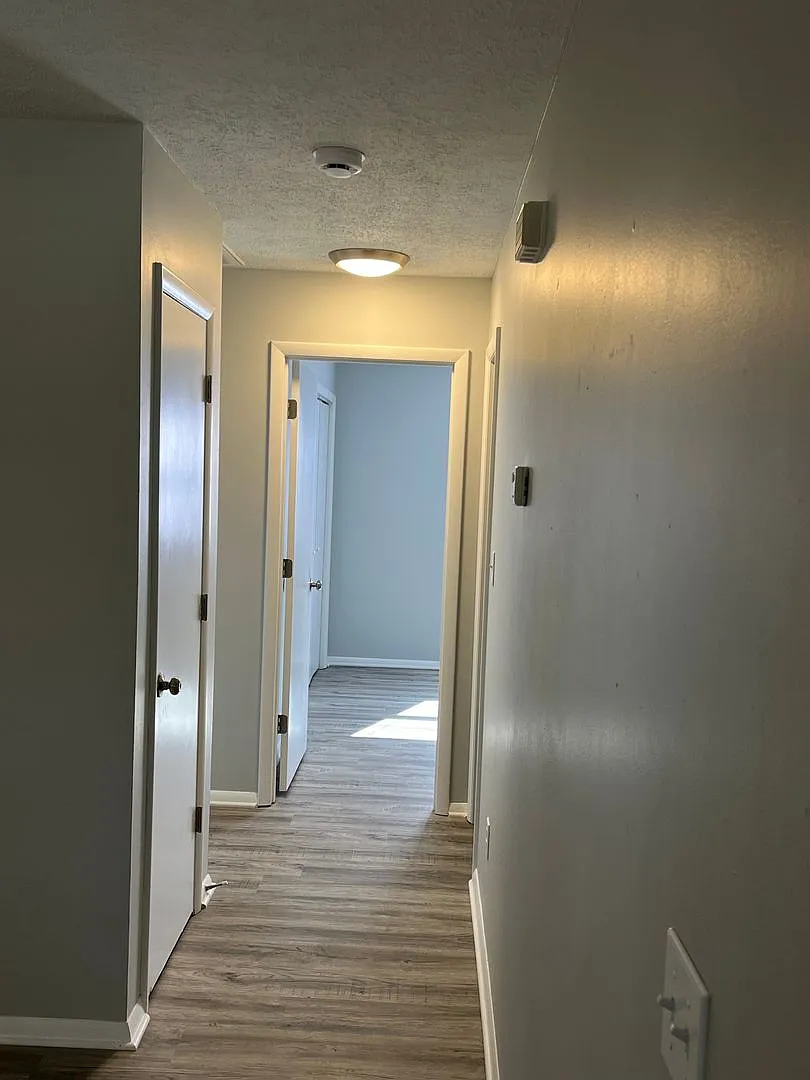tifvil — Photo 4