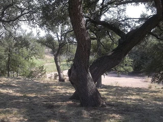 1st image of 101 River Park Dr