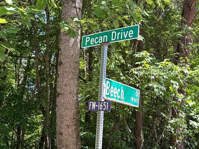 1st image of Lots 156 & 157 Beech Dr